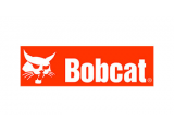 Bobcat